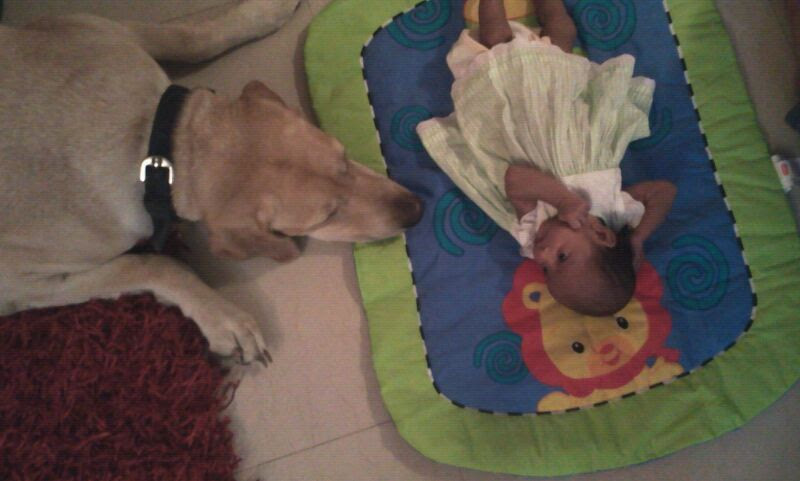 Baby Aanya resting beside Ginger